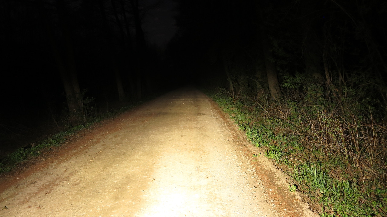 51. Fenix BC35R medium (Copy)