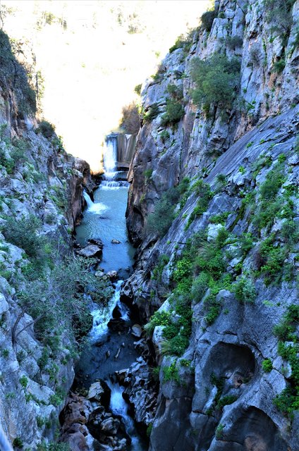 DESFILADERO DE LOS GAITANES (CAMINITO DEL REY)-8-3-2017 - Málaga y sus pueblos-2009/2017 (17)