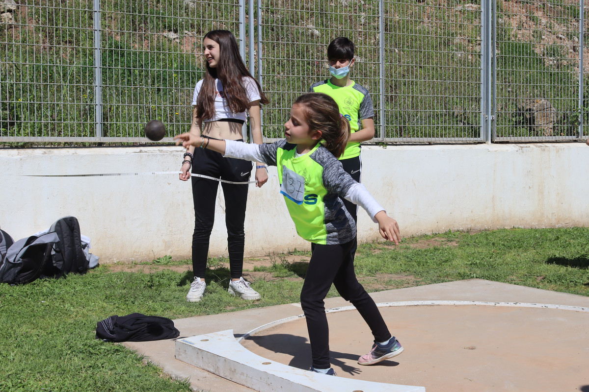 IMG-4527