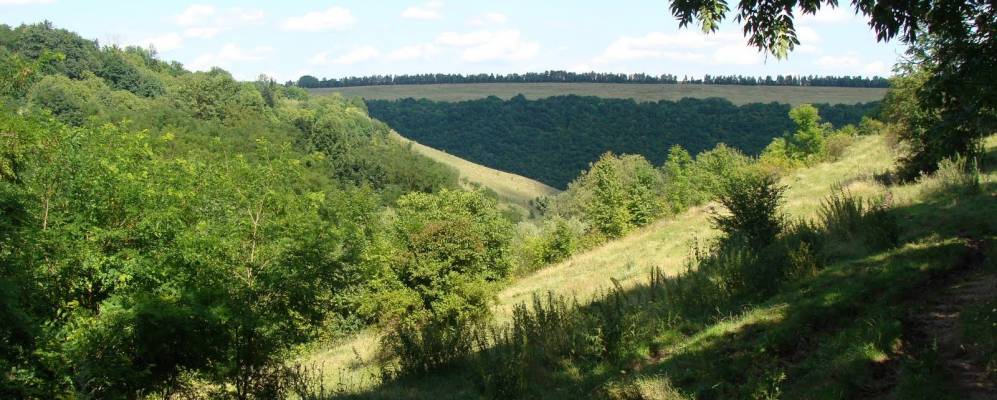 440ea9c92472c476ce8d5e328e9292be