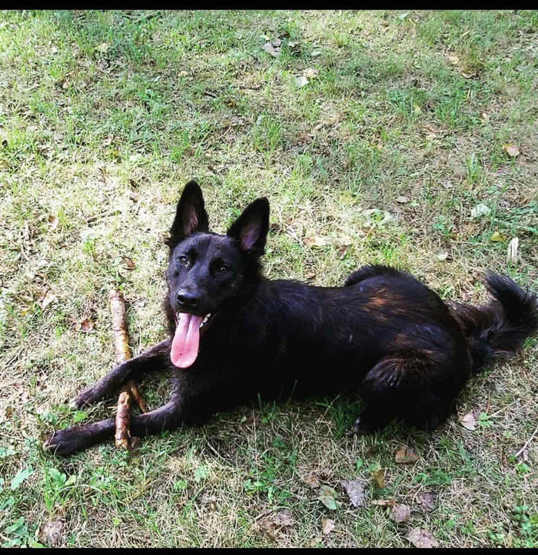 2A798E46-AEAB-4AF4-9BD9-C4EA923BAFC8