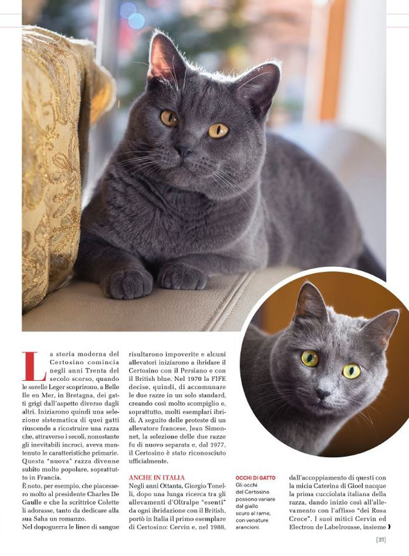 Ga Ma Feb-Mar 2025 (4)