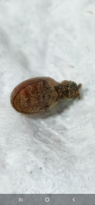 Screenshot_20230125_015328_Gallery