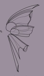 cytora's wings