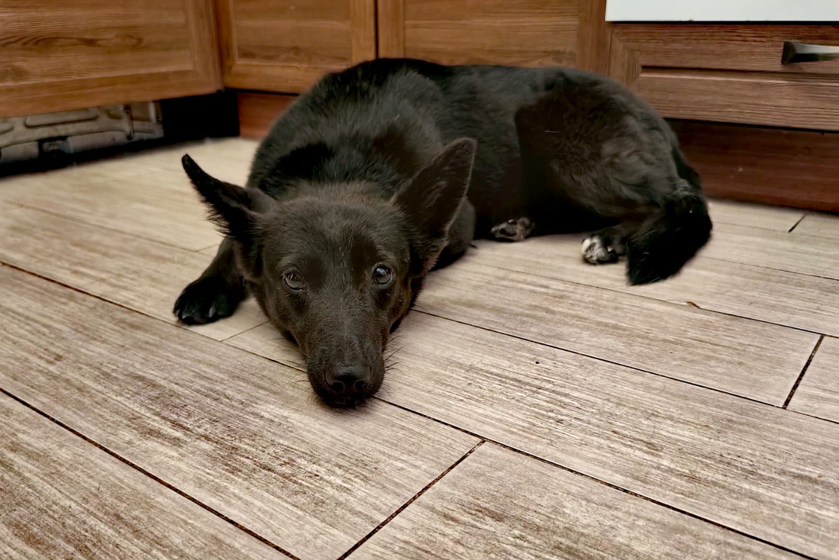 Изображение WhatsApp 2024-06-10 в 10.57.14_6fb470e5