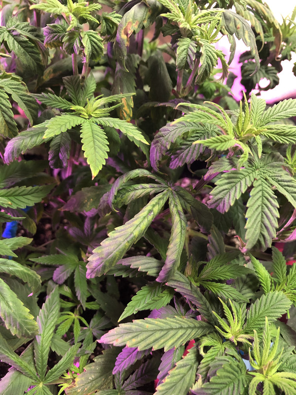 139BBFC5-38B7-4D46-910F-7724CB028CD4