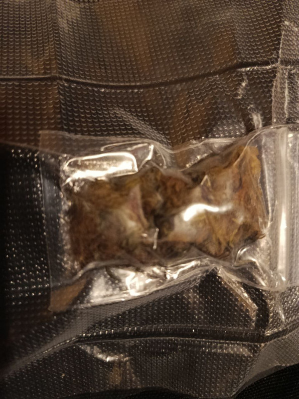 IMG 20251213 162654 245