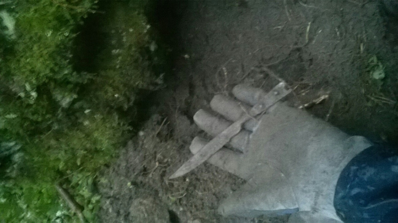 metsäveitsi