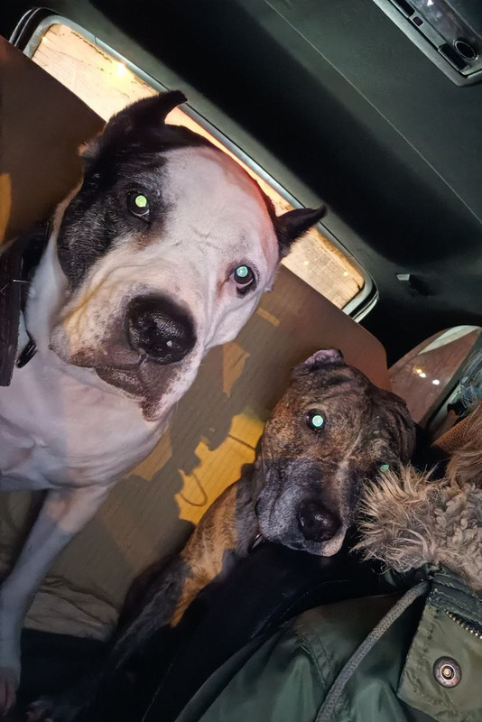 061F60CE-6EE4-49E5-9B41-562A8A1320BC