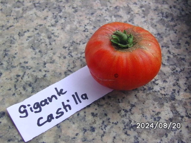 [Bild: BILD0341.jpg]