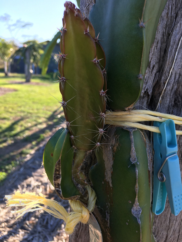 9E70A881-D857-483C-9DC1-183EA06A6D53