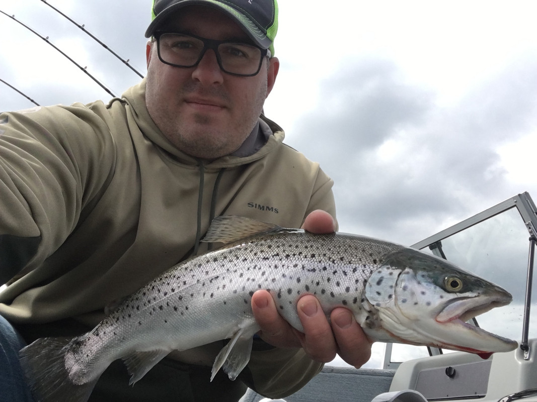 8D8E827E-A462-4D2E-B63A-3A0315A09052