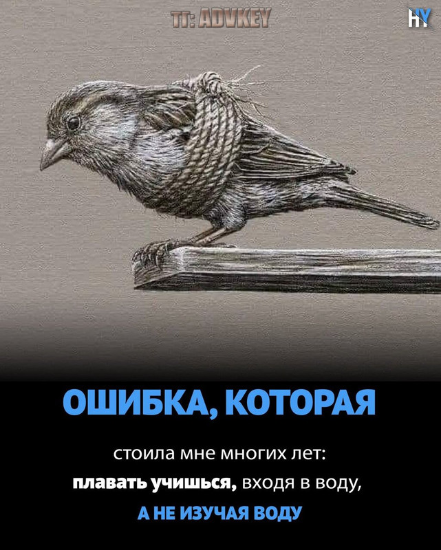 [Изображение: a94d52312715cae92e2f5bb1ac22b275.jpg]