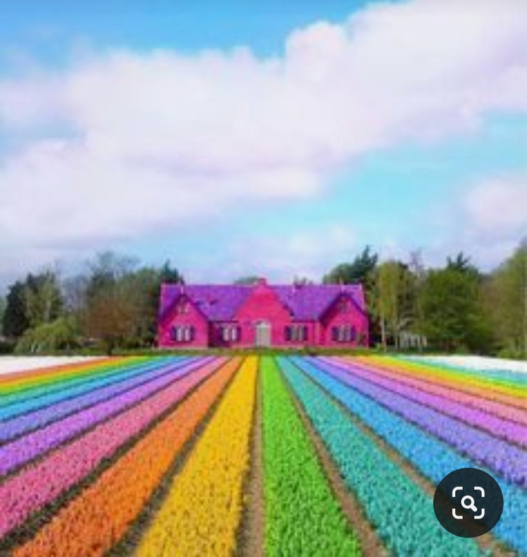 Screenshot_20230327_223847_Pinterest