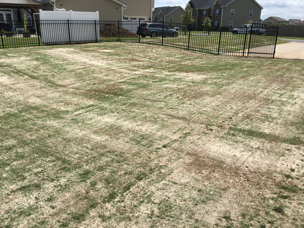 DA6A10EE-6A32-4B07-AD3E-E66A29BDF689