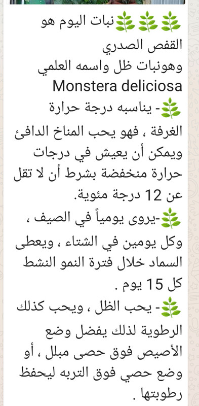 Screenshot_٢٠١٩-١١-١٥-١٤-٣٤-٥٠-١٢٢_com.whatsapp