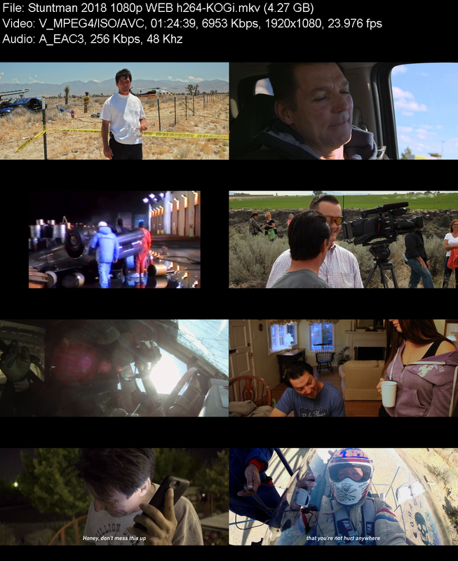 stuntman-2018-1080p-web-h264-kogi.png