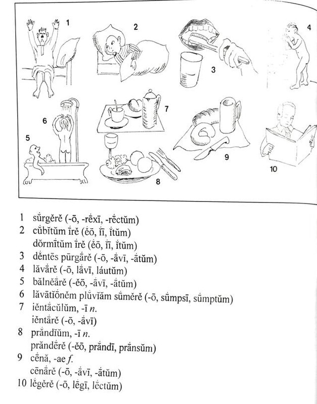 IMG_20180219_091158_138