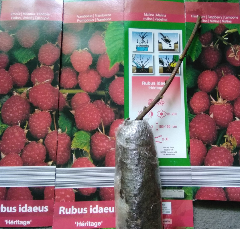 IMG 20230309 123151 2 — Postimages