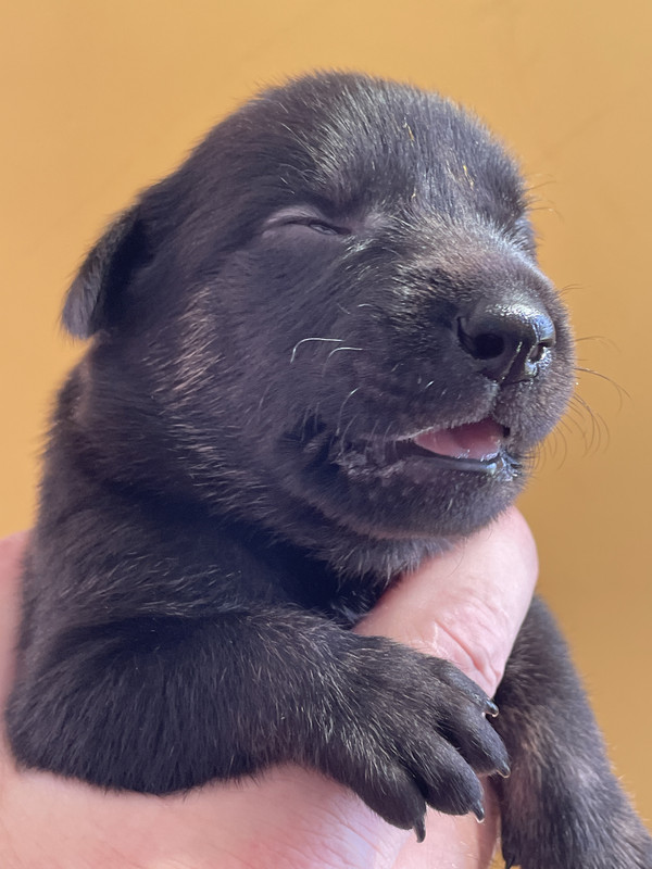 20D3198E-946E-406B-BAAF-14179CE6DD25