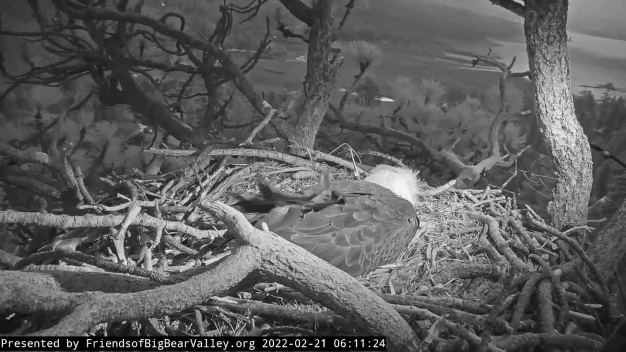 Webp.net-gifmaker (1)