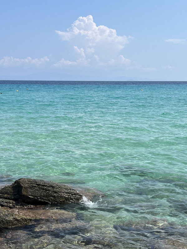 8BA64DF9-E0A4-485C-AEF1-ED79F21A07D4