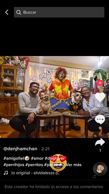 Cumpleaños de Perritos se vuelve viral por humanizarlos