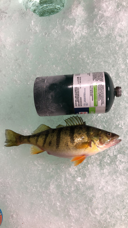 D3F7373D-B195-4A2A-A56E-00C7F9CBCE37