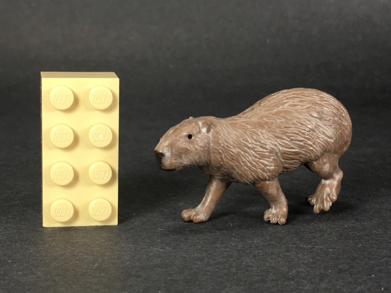 The 2021 STS Wild life Figure of the Year. Make your choice ! Safari2021toob-capybara-jolie