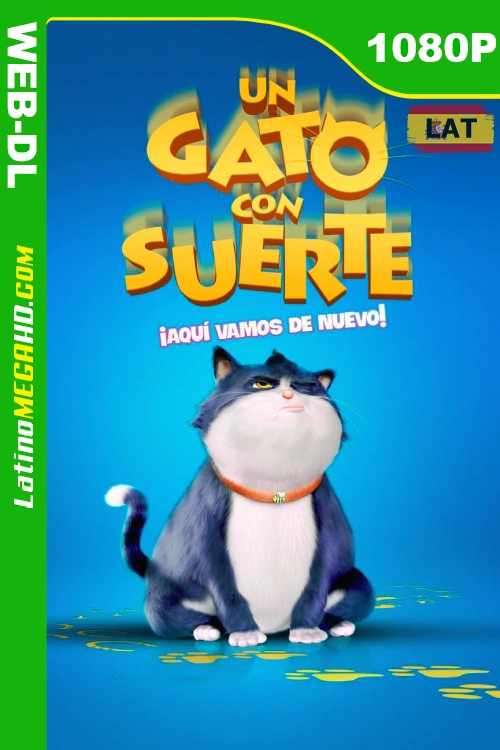 Un gato con suerte (2024) Latino HD WEB-DL 1080P LIGERO