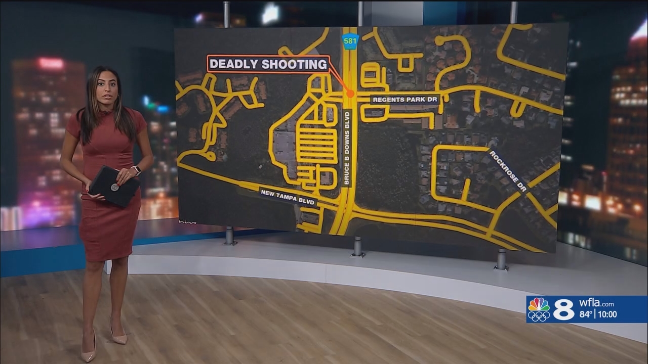 NewsChannel 8 News at 1000pm_20240618_03000330.ts_snapshot_00.51.295