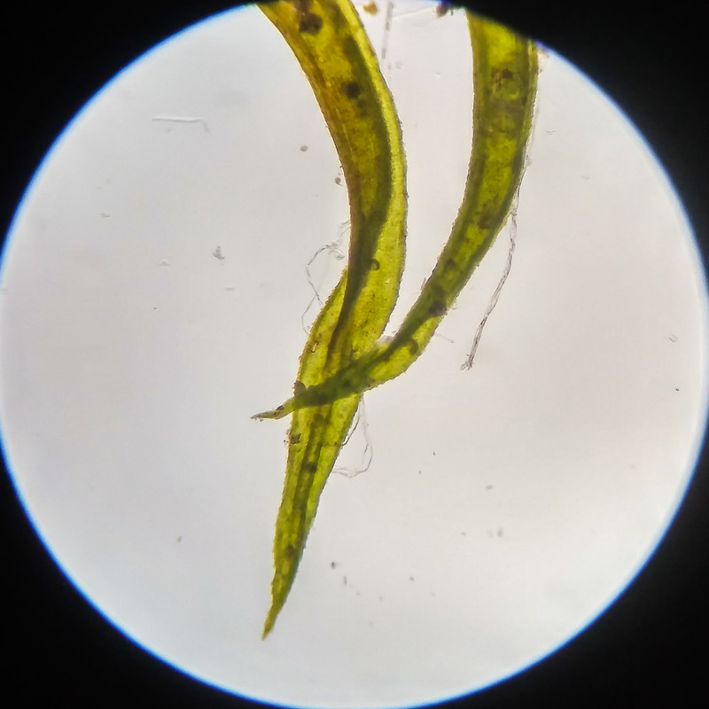 IMG 20250617 123023 HDR