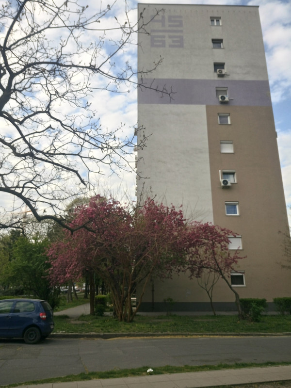 Kép
