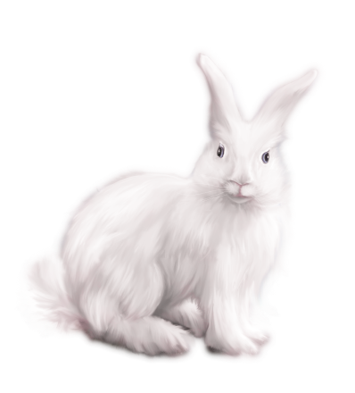 WINTER LOVE_DBJ-ELEM (92)