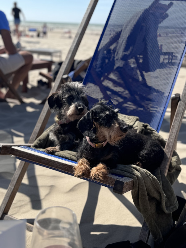 [Image: IMG-2870.jpg]