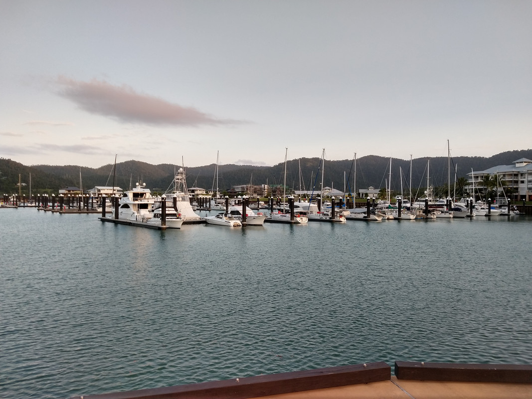 NOOSA - BRISBANE - AIRLIE BEACH - AUSTRALIA , "QUE GRAN PAIS" (4)