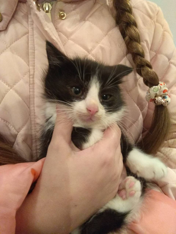 ВтораяПартия7