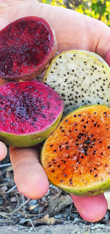 Screenshot 20251110 204709 One UI Home