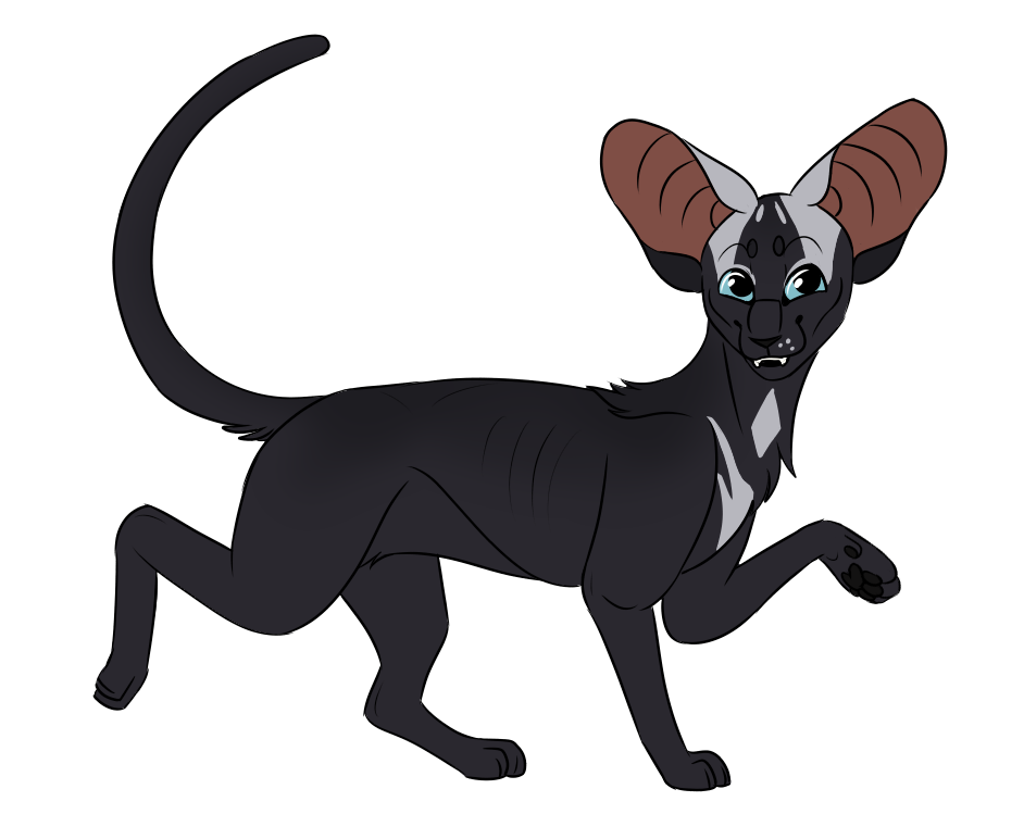 winds of change | RiverClan's Deputy 2021 Spider