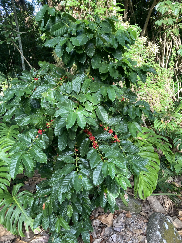 BEC2A150-48F0-45F3-AACE-82DD2D7252A4