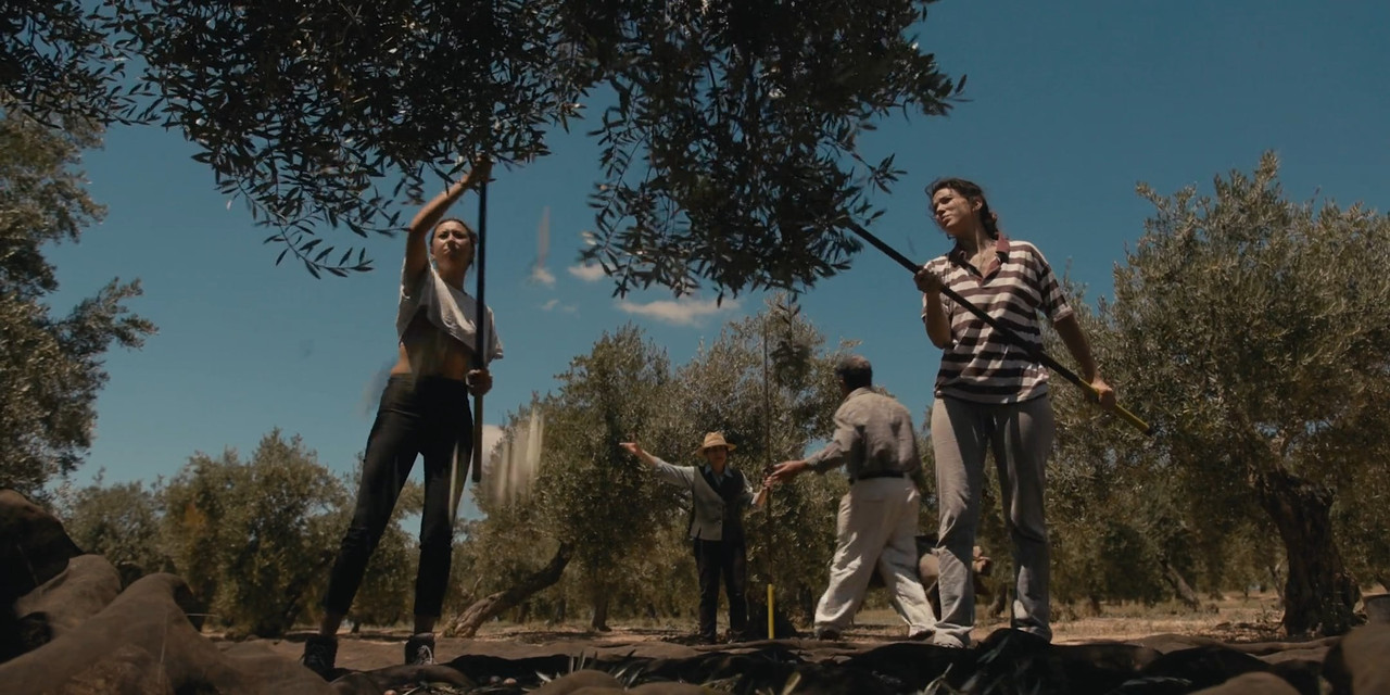 O.(2022,Corto).WEBDL.1080p.(exploradoresp2p).mp4_snapshot_15.21_[2025.01.17_21.04.11]