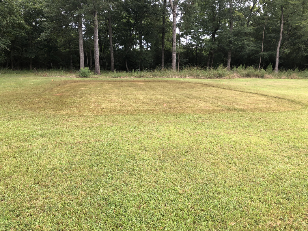 C1459943-270A-4416-98A7-22C0BA045928