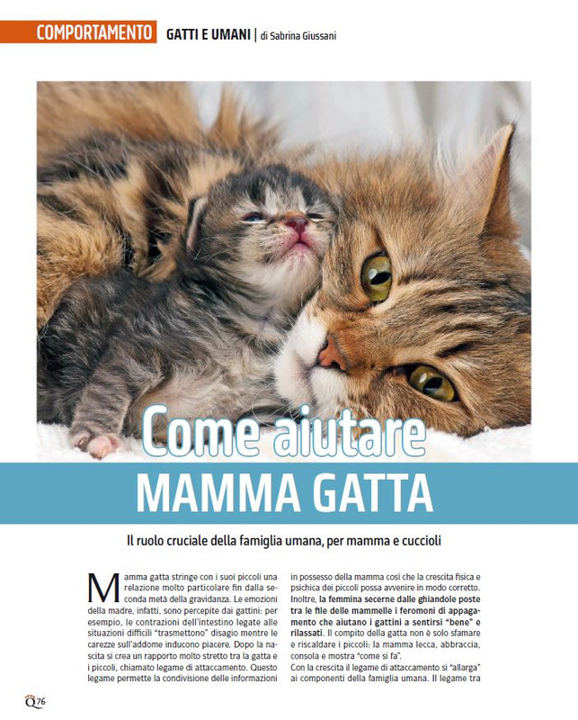 QuattroZampe Mar 2024 (5)