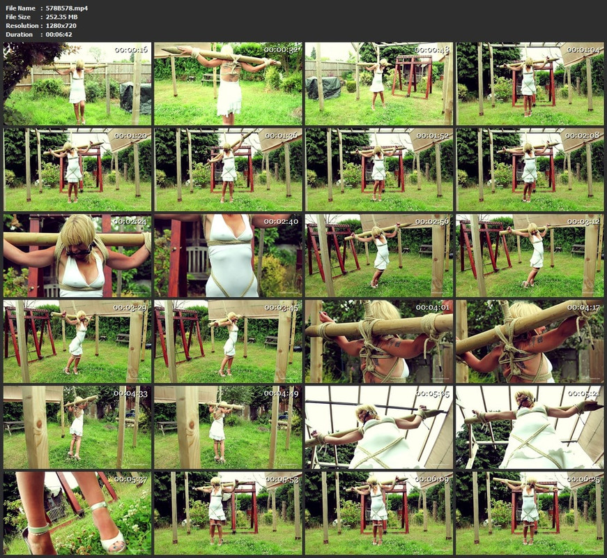 578B578.mp4