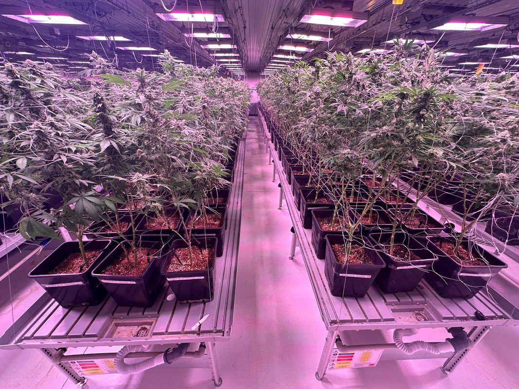 Indoor