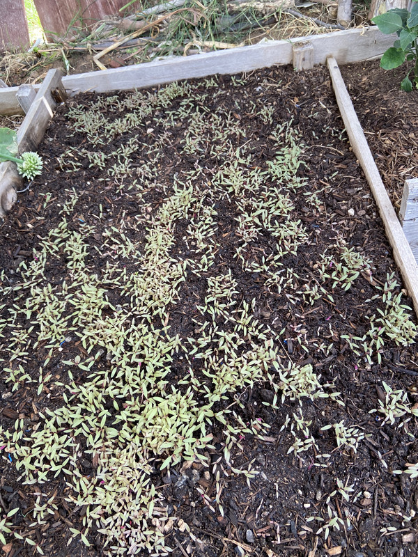 463B835D-9A27-4797-815E-C16F10E123CB