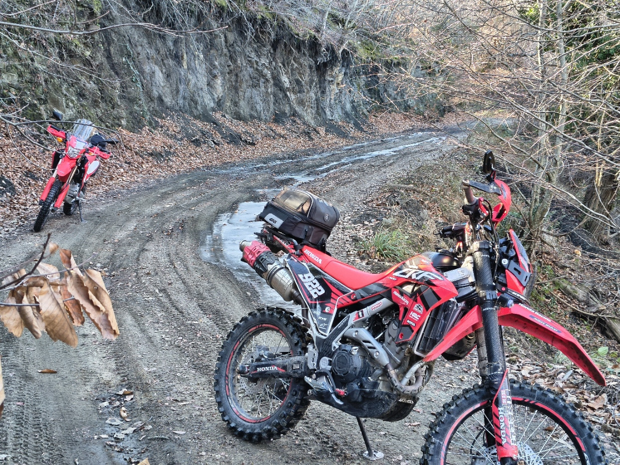 IMG-20260115-114322628-HDR.jpg