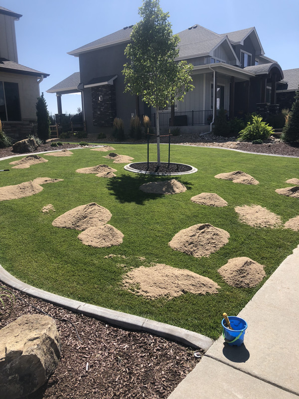 654BD3C3-F8DC-4537-BFA1-3D4D54A9E155