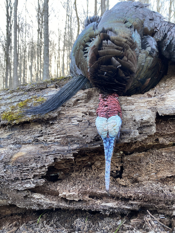 34A76D11-F869-464E-8731-BDD8A28A78FA