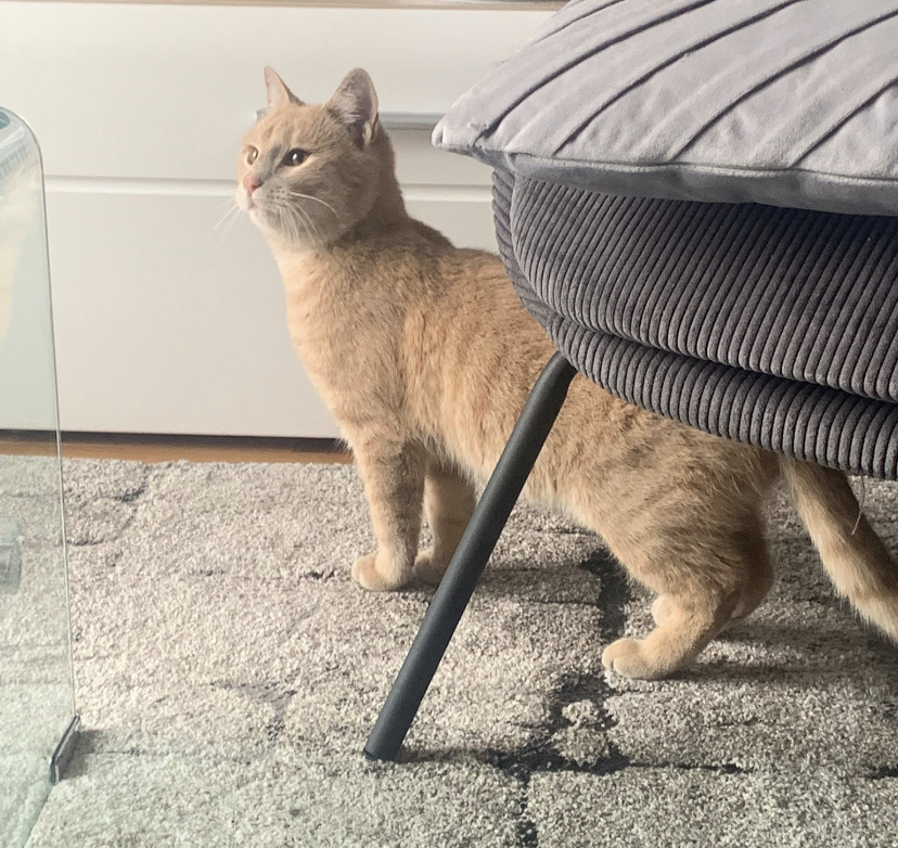 BEA5FA35-710B-435E-911D-AA1AB270925A